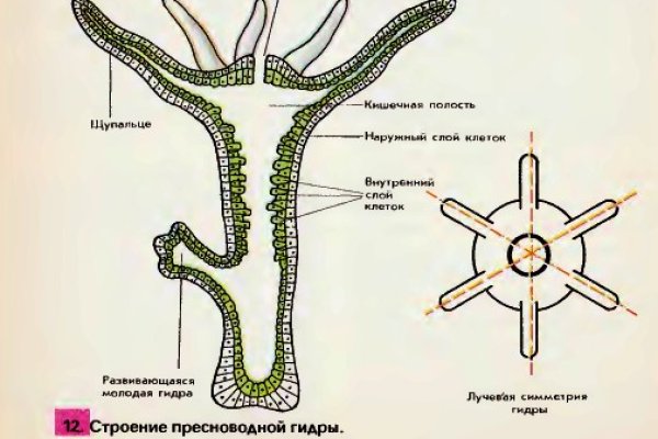 Кракен даркнет рабочая ссылка