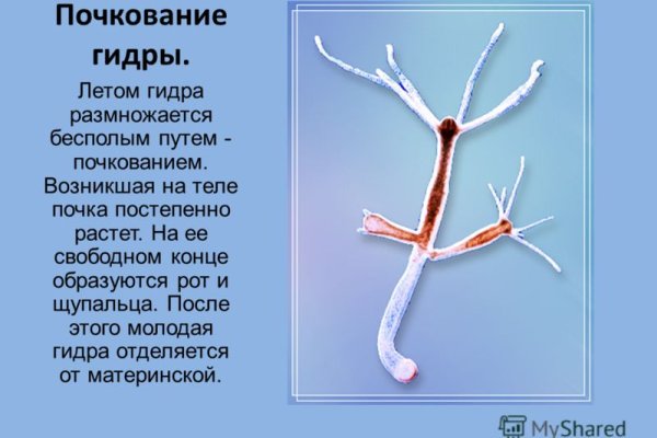 Kraken официальный сайт вход