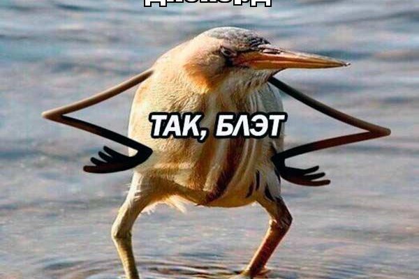 Как войти на кракен