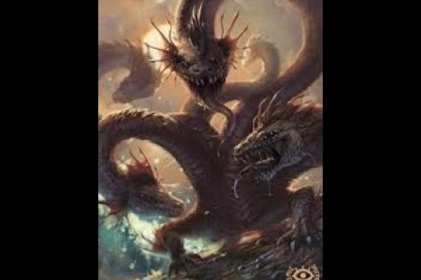 Kraken20 at