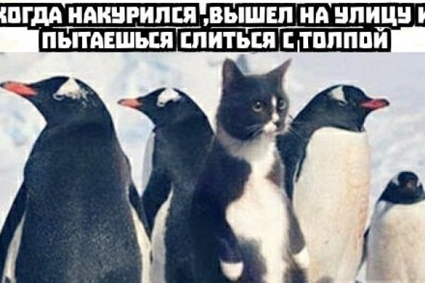 Кракен сегодня сайт зеркало