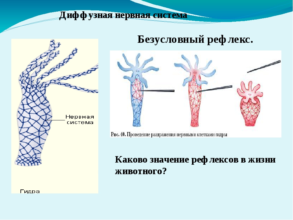 Kraken сайт вход