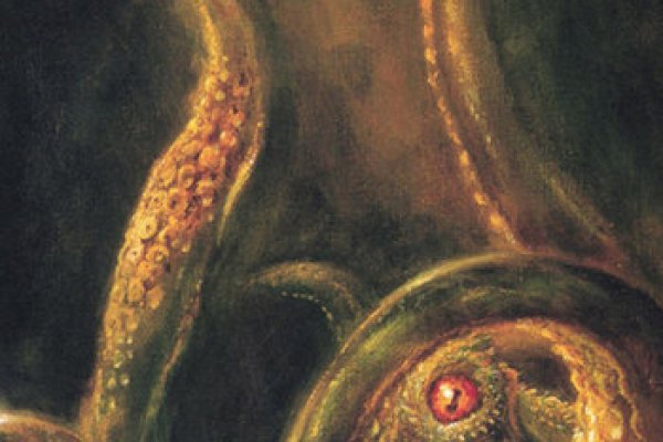 Kraken 23 at