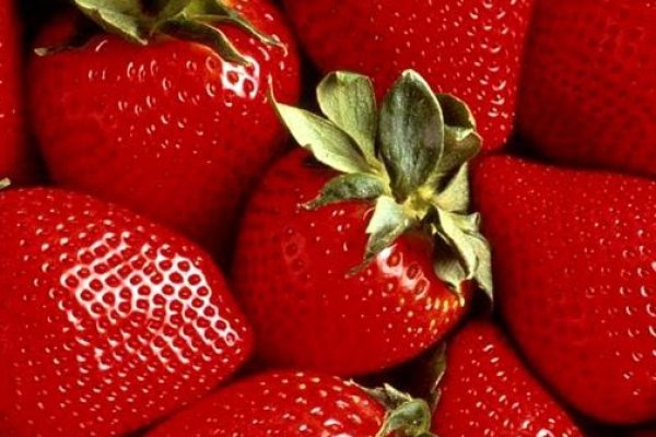 Сайты с наркотиками