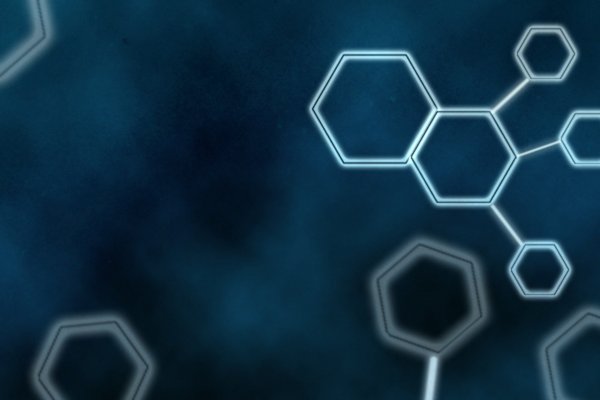 Kraken что это за магазин