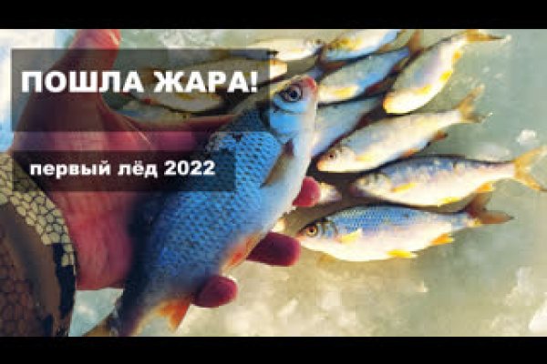 Кракен официальный сайт онион