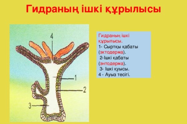 Актуальная ссылка на кракен