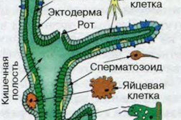 Актуальные ссылки кракен 2025